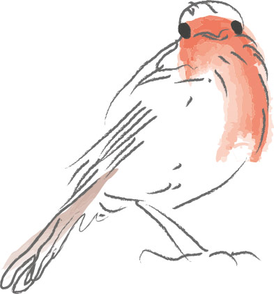 pollen création illustration rouge gorge